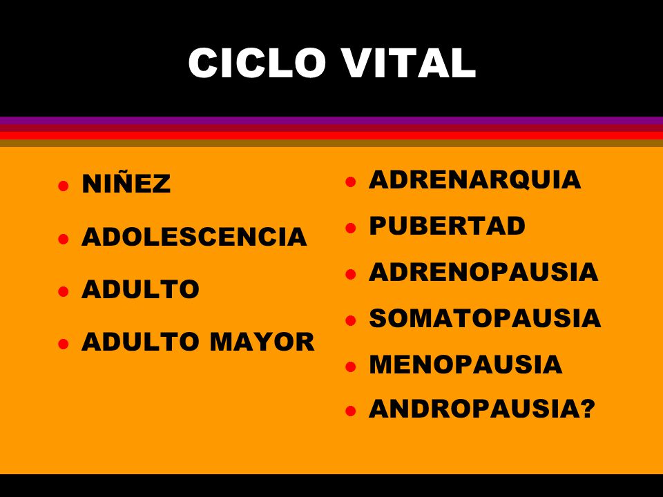 Caracteristicas del desarrollo Adulto medio